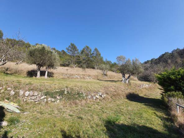 Ferienwohnung La Ferme De Manon Montferrat  Exterior foto